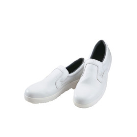 Scarpa